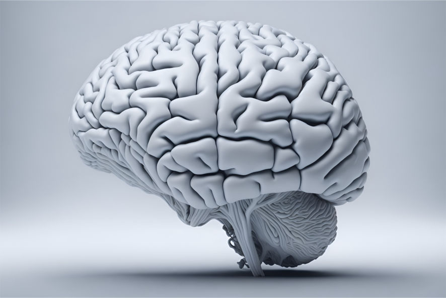 Precursores neurobiológicos da empatia - TCC - NeuroFlux