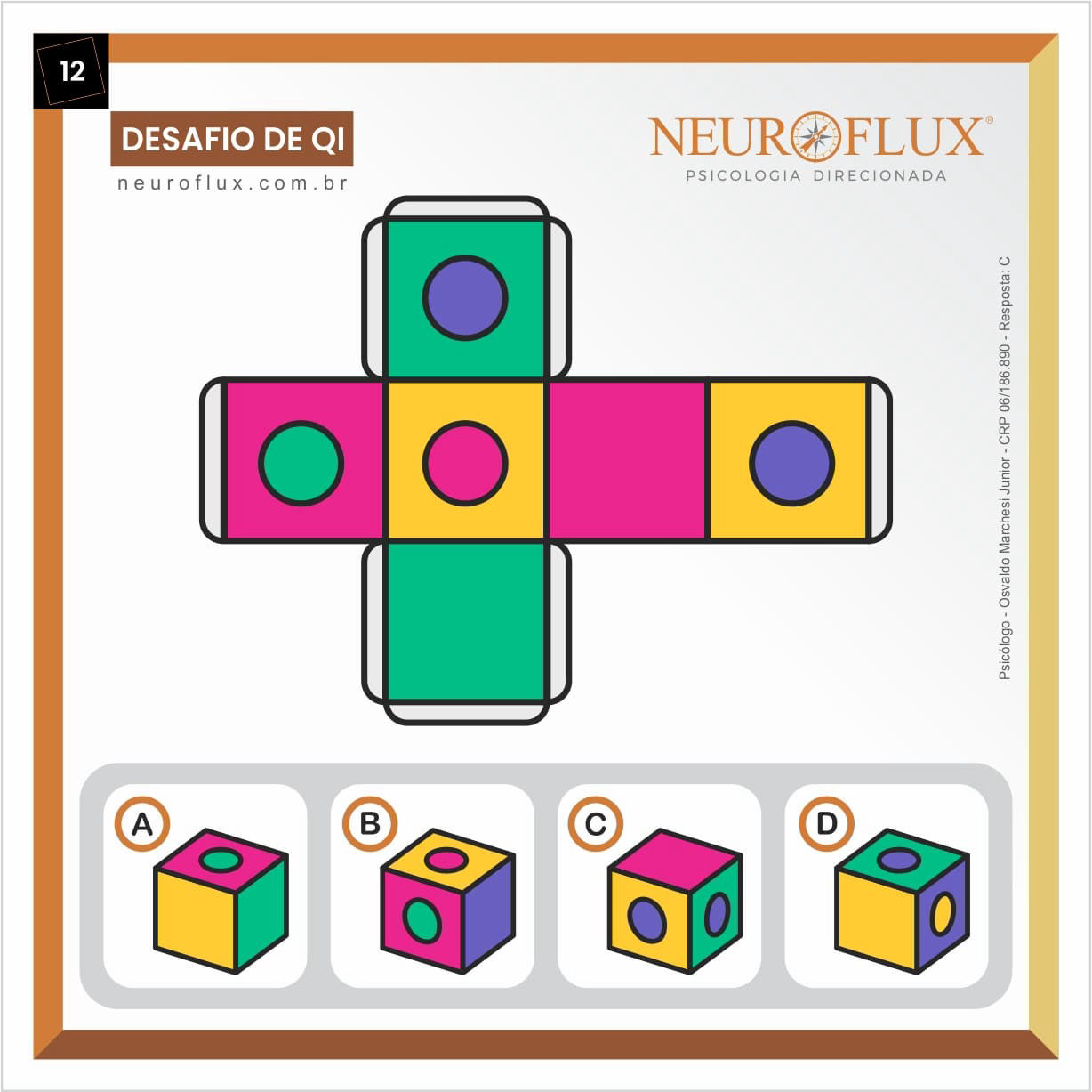 12-Teste-de-QI-Gratuito-Osvaldo-Marchesi-Junior-NeuroFlux-Psicologia-Direcionada-C