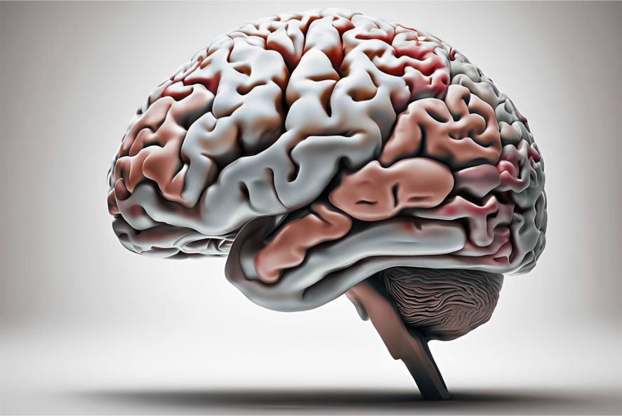 Acordo de Paz com o Sentinela Interno - NeuroFlux Psicologia Direcionada