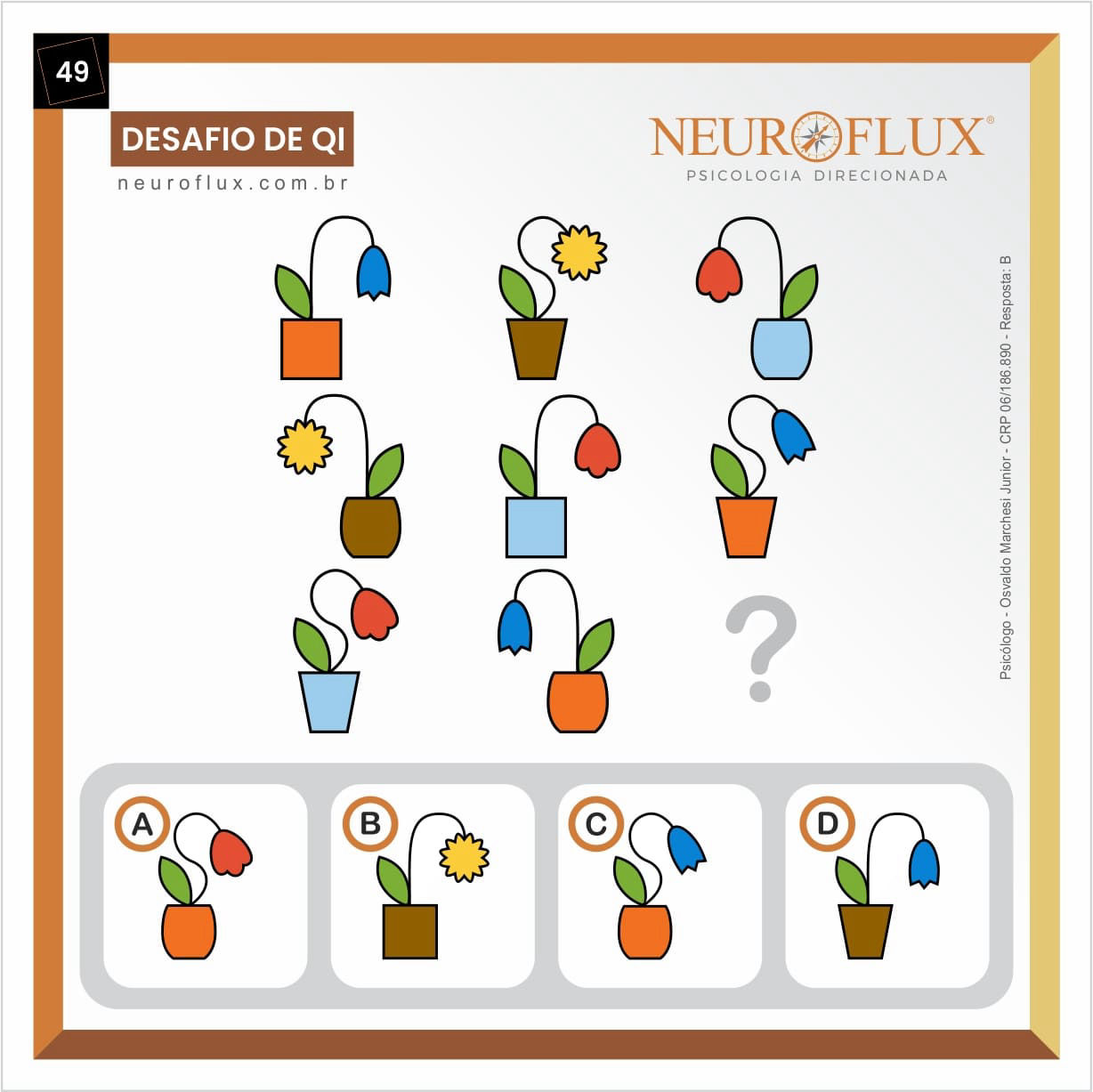 49-Teste-de-QI-Gratuito-Osvaldo-Marchesi-Junior-NeuroFlux-Psicologia-Direcionada-B